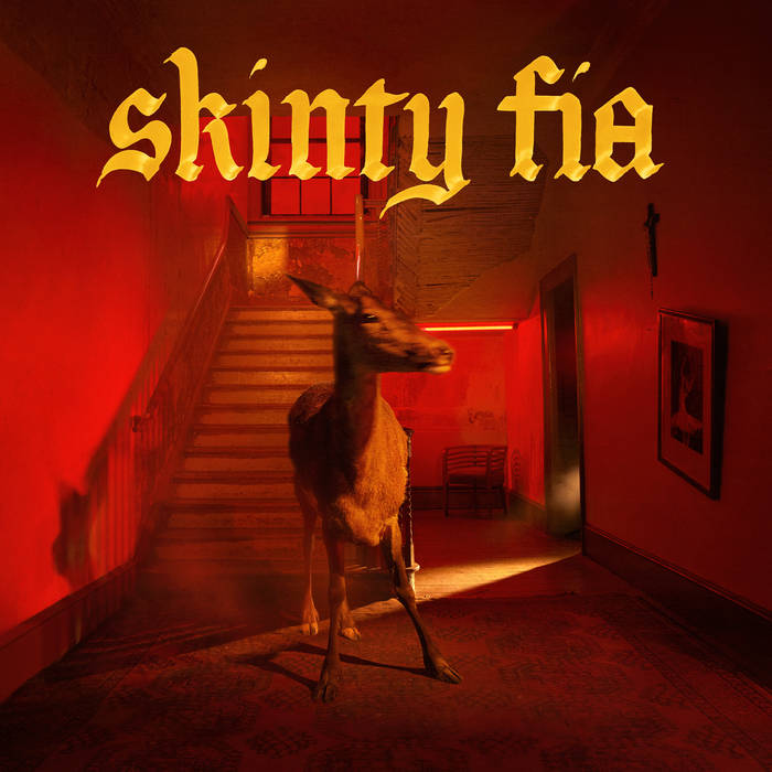 Fontaines D.C. – Skinty Fia (Vinyl)