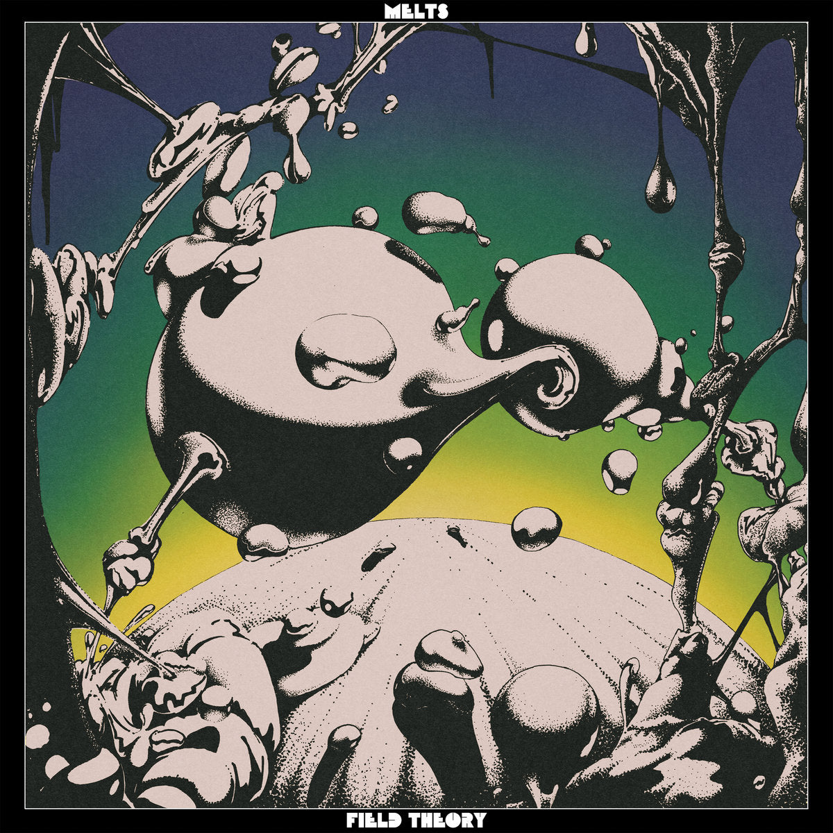 Melts – Field Theory (CD)