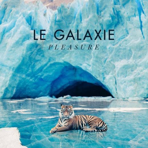 Le Galaxie – Pleasure (Vinyl)