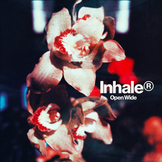 Inhaler - Open Wide (Vinyl)