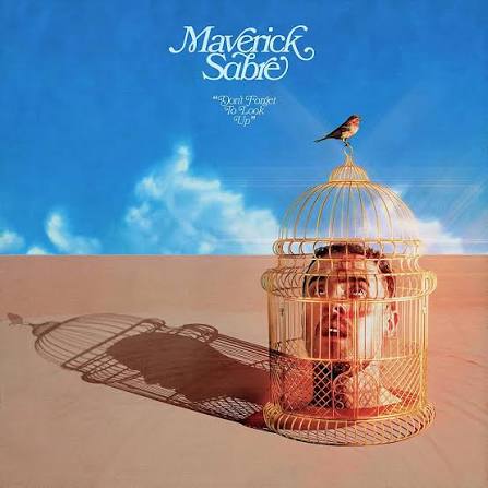 Maverick Sabre – Don't Forget To Look Up (Vinyl)